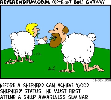 thumbnail image 2 of They Smell Like Sheep: Spiritual Leadership For The 21st Century By Lynn Anderson – Used Good Condition 2 of 5