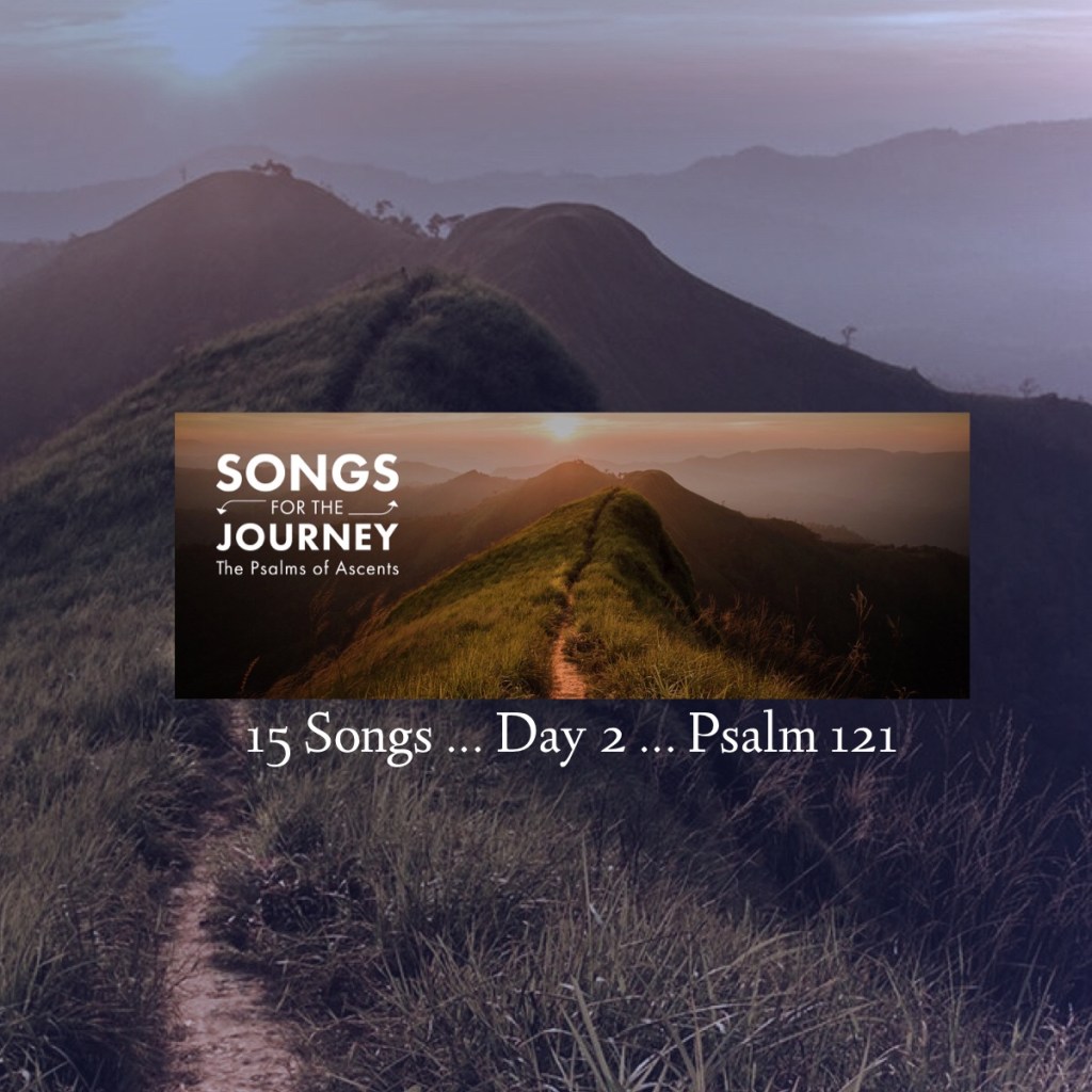 Living in His Shade, and That’s&nbsp;Cool