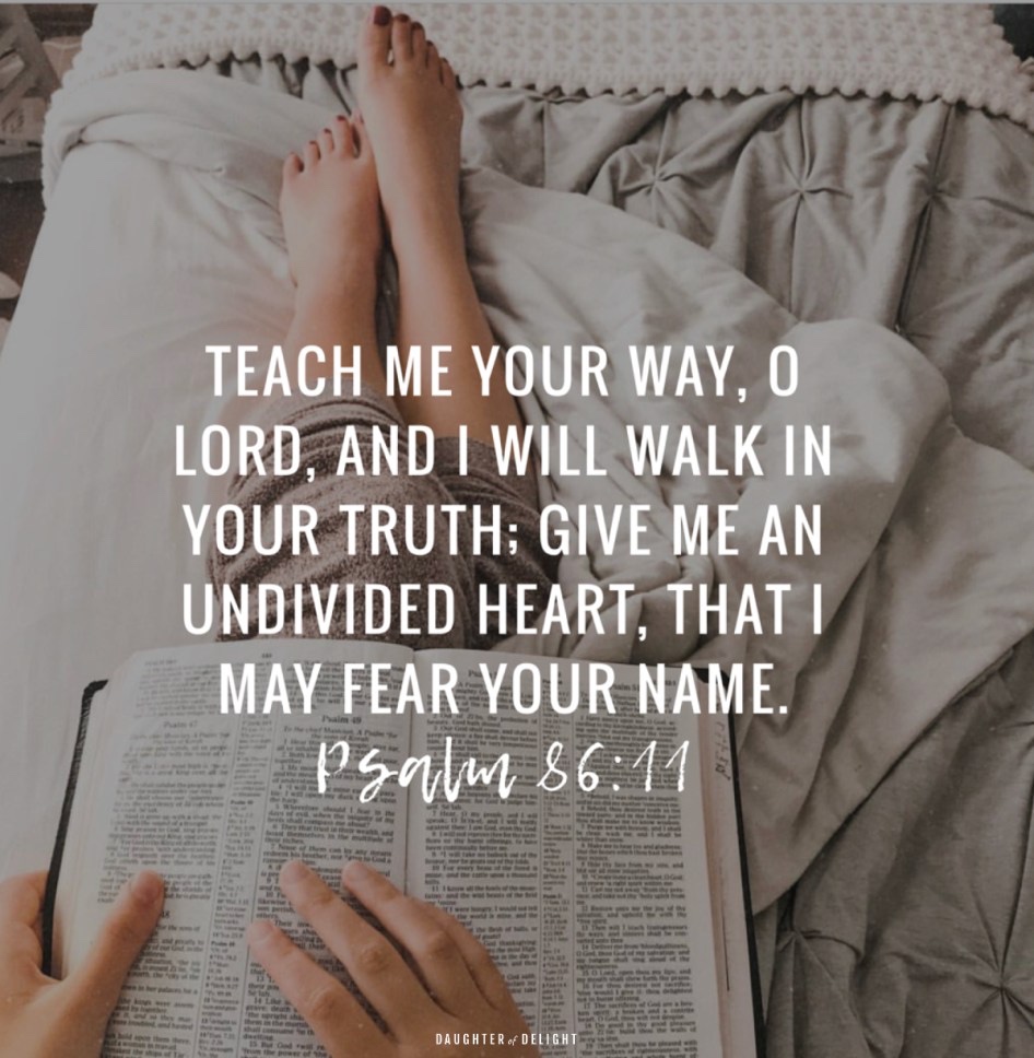 Delight to Fear Your&nbsp;Name