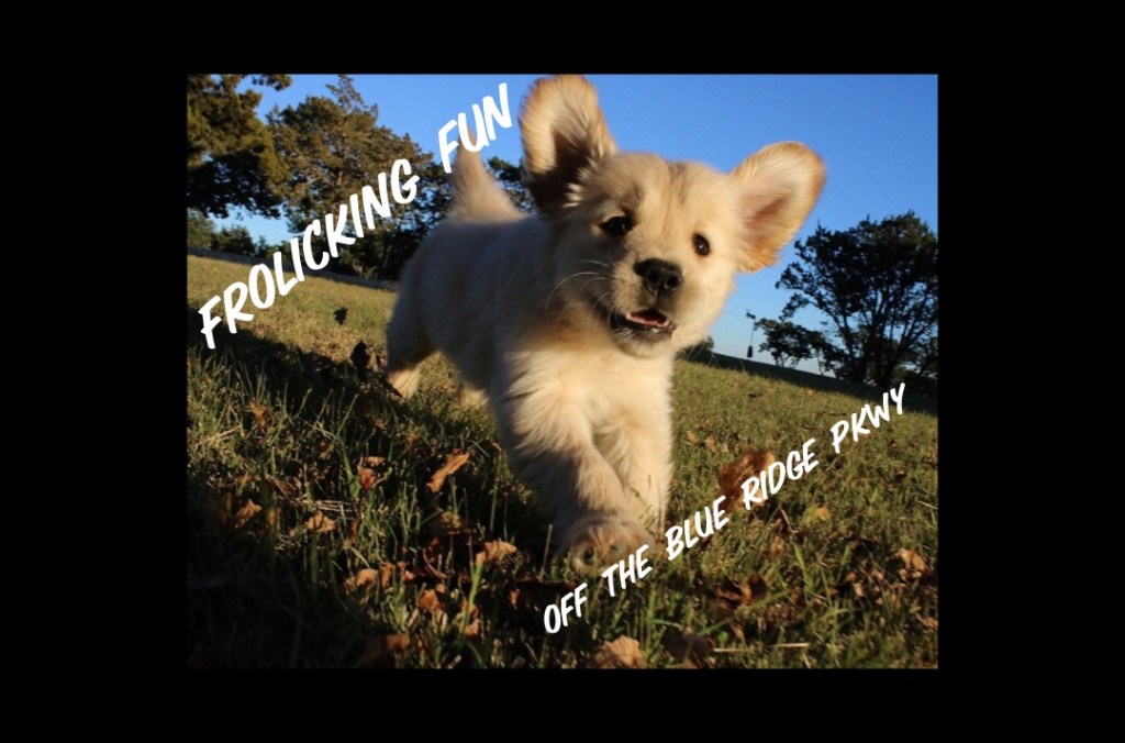 She was so Excited to be on the&nbsp;Trails