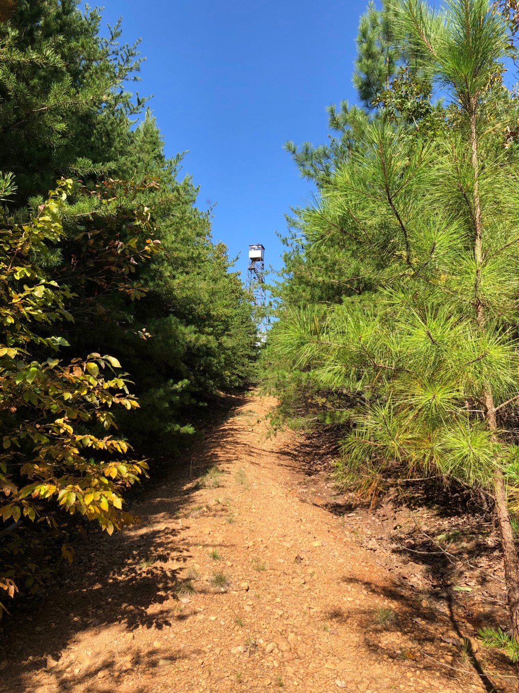 Piney Mountain, Appomattox – Fire Tower&nbsp;Road