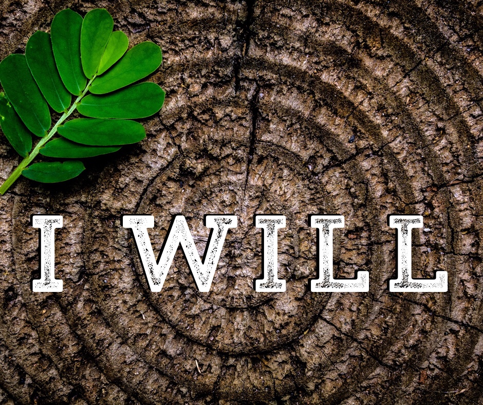 I Will … said&nbsp;Me