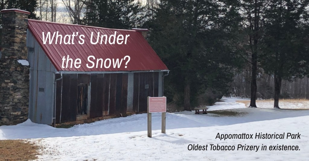 Hiding Under the Frosty Icing of&nbsp;Snow