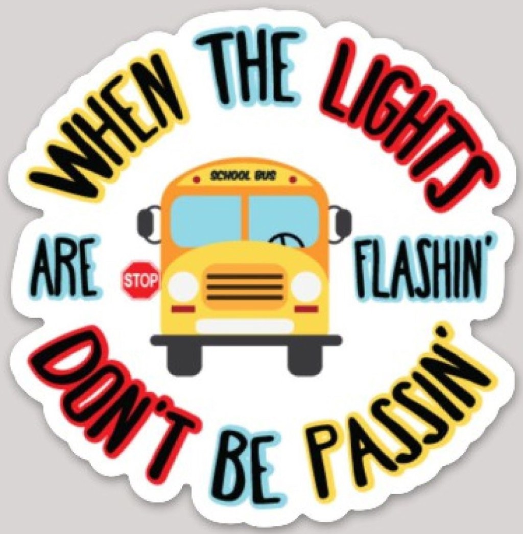 Life Behind a School&nbsp;Bus