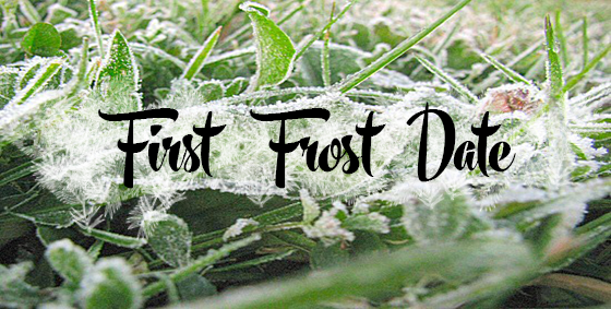 First Frost ’22