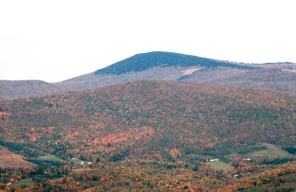 What does it take to get to the&nbsp;top?