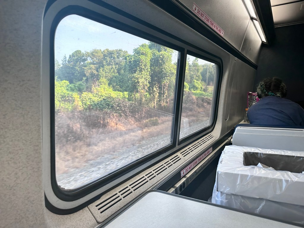 Watching Life Through a Window&nbsp;…