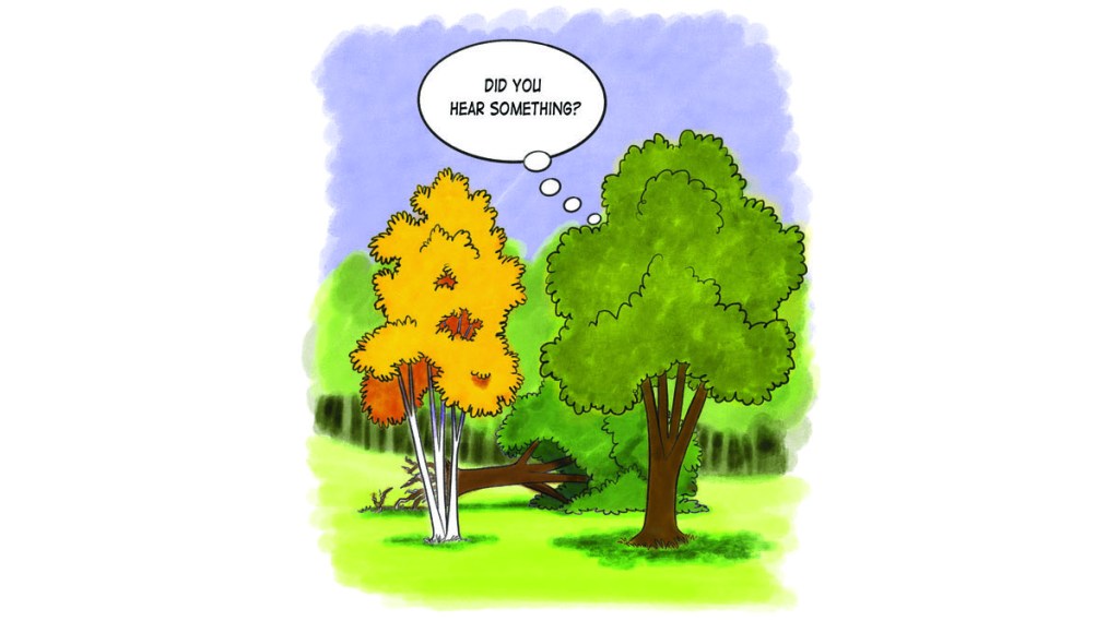 Trees – If One Falls in the&nbsp;Forest?
