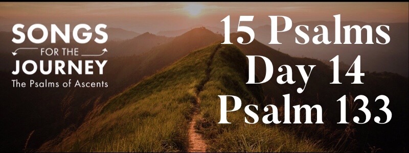 Journey to Joy … (#13 of&nbsp;15)