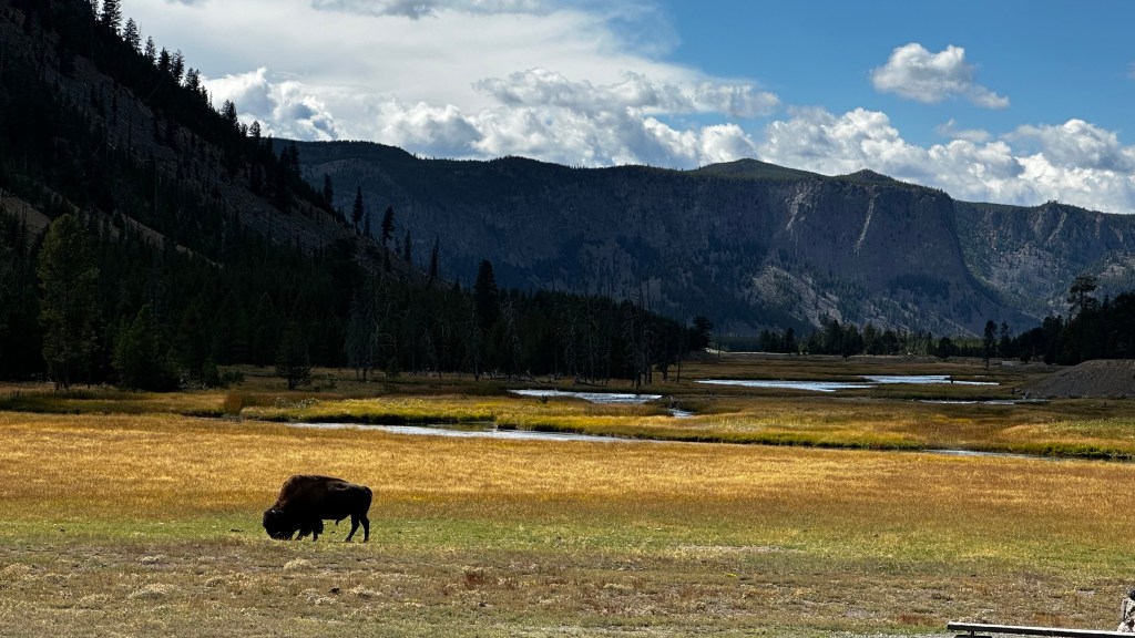 ROAD TRIP – Day 2 – ON site – Tetons to&nbsp;Yellowstone
