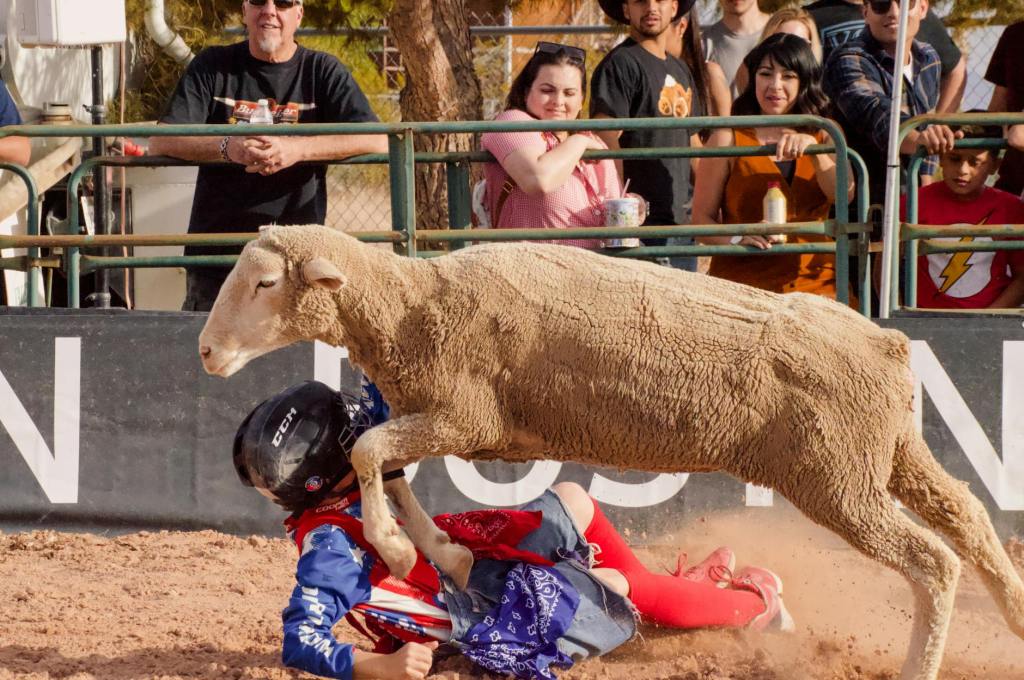 Is the Rodeo in His&nbsp;Future