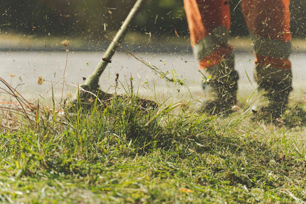 Grass Clippings